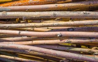 Wooden branches background. Orange and red thin wooden rods stacked together. photo