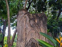 stone ornament in the form of a tree cut made of cement shot in the garden square photo