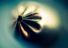 Supermacro of Bullet photo