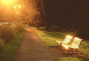 Two bench in the park with sunlight photo