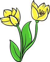 Yellow poppy, illustration, vector on white background
