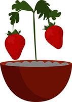 Homemade strawberries, illustration, vector on white background