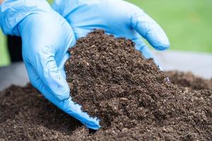 la mano que sostiene la materia orgánica de musgo de turba mejora el suelo para la agricultura cultivo de plantas orgánicas, concepto de ecología. foto