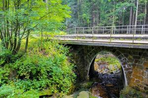 puente de metal de madera sobre el río en el bosque de alemania. foto