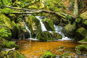 hermosa cascada río corriente en el parque forestal brocken harz alemania. foto
