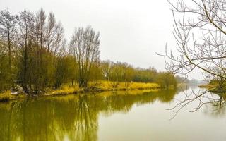 Frozen river stream pond lake cold nature forest environment Germany. photo