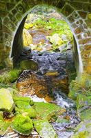 Beautiful waterfall river stream in forest park Brocken Harz Germany. photo