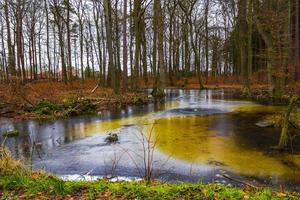 Frozen river stream pond lake cold nature forest environment Germany. photo