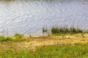 hermoso estanque de río y bosque natural del lago en alemania. foto