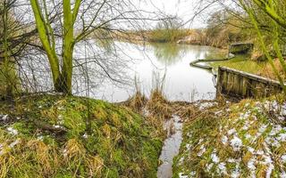 Frozen river stream pond lake cold nature forest environment Germany. photo