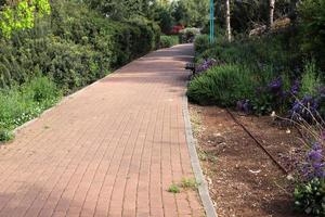 Pedestrian road in the city park on the seashore. photo