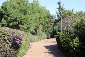 Pedestrian road in the city park on the seashore. photo