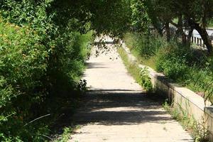 Pedestrian road in the city park on the seashore. photo