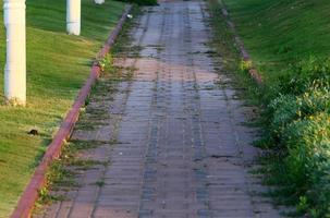 calle peatonal en el parque de la ciudad a la orilla del mar. foto