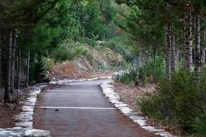 Pedestrian road in the city park on the seashore. photo