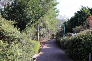 Pedestrian road in the city park on the seashore. photo