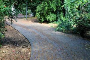 Pedestrian road in the city park on the seashore. photo