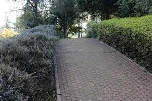 Pedestrian road in the city park on the seashore. photo