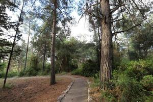 Pedestrian road in the city park on the seashore. photo