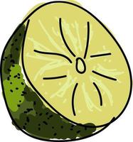 Green lime, illustration, vector on white background.