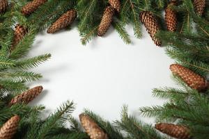 Merry Christmas and Happy Holidays greeting card, frame, banner. New Year. Pine tree branches on white. photo