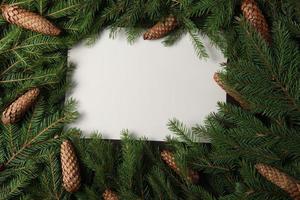 Merry Christmas and Happy Holidays greeting card, frame, banner. New Year. Pine tree branches on white. photo