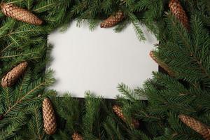 Merry Christmas and Happy Holidays greeting card, frame, banner. New Year. Pine tree branches on white. photo