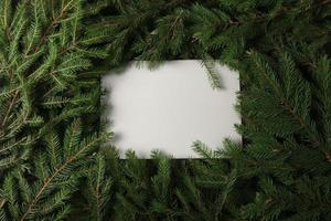 Merry Christmas and Happy Holidays greeting card, frame, banner. New Year. Pine tree branches on white. photo