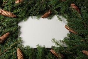 Merry Christmas and Happy Holidays greeting card, frame, banner. New Year. Pine tree branches on white. photo