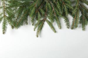 Merry Christmas and Happy Holidays greeting card, frame, banner. New Year. Pine tree branches on white. photo