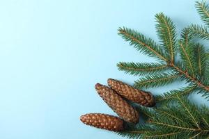 Merry Christmas and Happy Holidays greeting card, frame, banner. New Year. Pine tree branches on white. photo