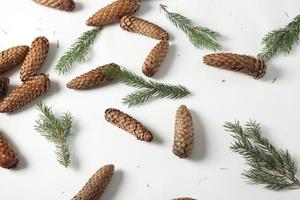 Merry Christmas and Happy Holidays greeting card, frame, banner. New Year. Pine tree branches on white. photo