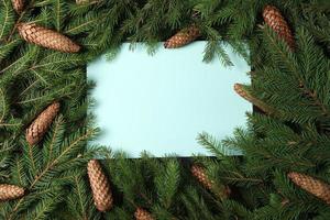 Merry Christmas and Happy Holidays greeting card, frame, banner. New Year. Pine tree branches on white. photo