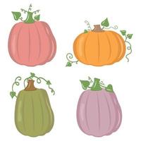 Vector set of orange pumpkins isolated on a white background.
