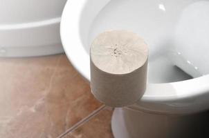 A roll of gray toilet paper lies on a white ceramic toilet in the bathroom photo