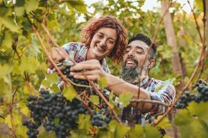 Harvesting With Love photo