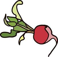 Radish flat, illustration, vector on white background.