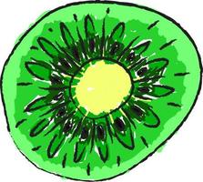 Kiwi drawing, illustration, vector on white background.