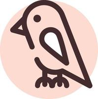 Pet parrot, illustration, vector on a white background.