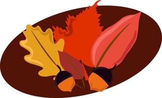 Autumn leaves, illustration, vector on white background.