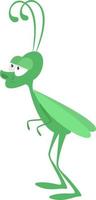 Skinny green grasshopper ,illustration,vector on white background vector