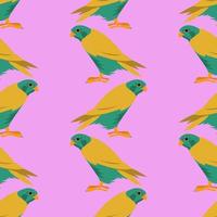 Colorful birds pattern, illustration, vector on white background