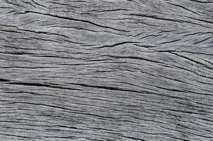 Grey beautiful Wood texture for background. photo
