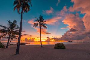 Beautiful sunset at palm beach landscape. Tropical shore, amazing colorful cloudy sky, tranquil skyline skyscape with infinity fantasy sea horizon. Beach evening view, palm trees silhouette, nature photo