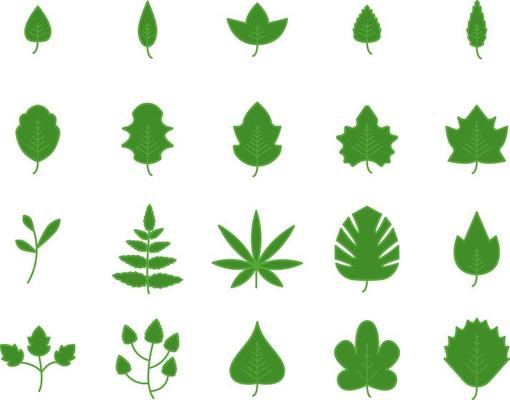 Green spring leaves, illustration, on a white background.
