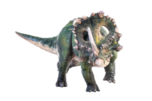 dinosaur , Sinoceratops isolated background png