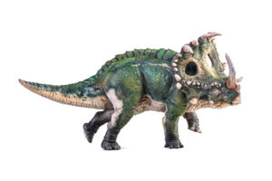 dinosaure, fond isolé de sinoceratops png