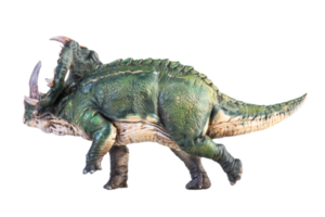 dinosaurier, sinoceratops isolierter hintergrund png