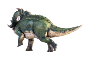 dinosaurus , sinoceratops geïsoleerd achtergrond png