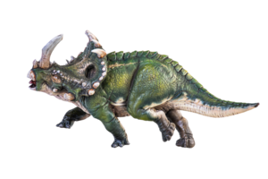 dinosaur , Sinoceratops isolated background png